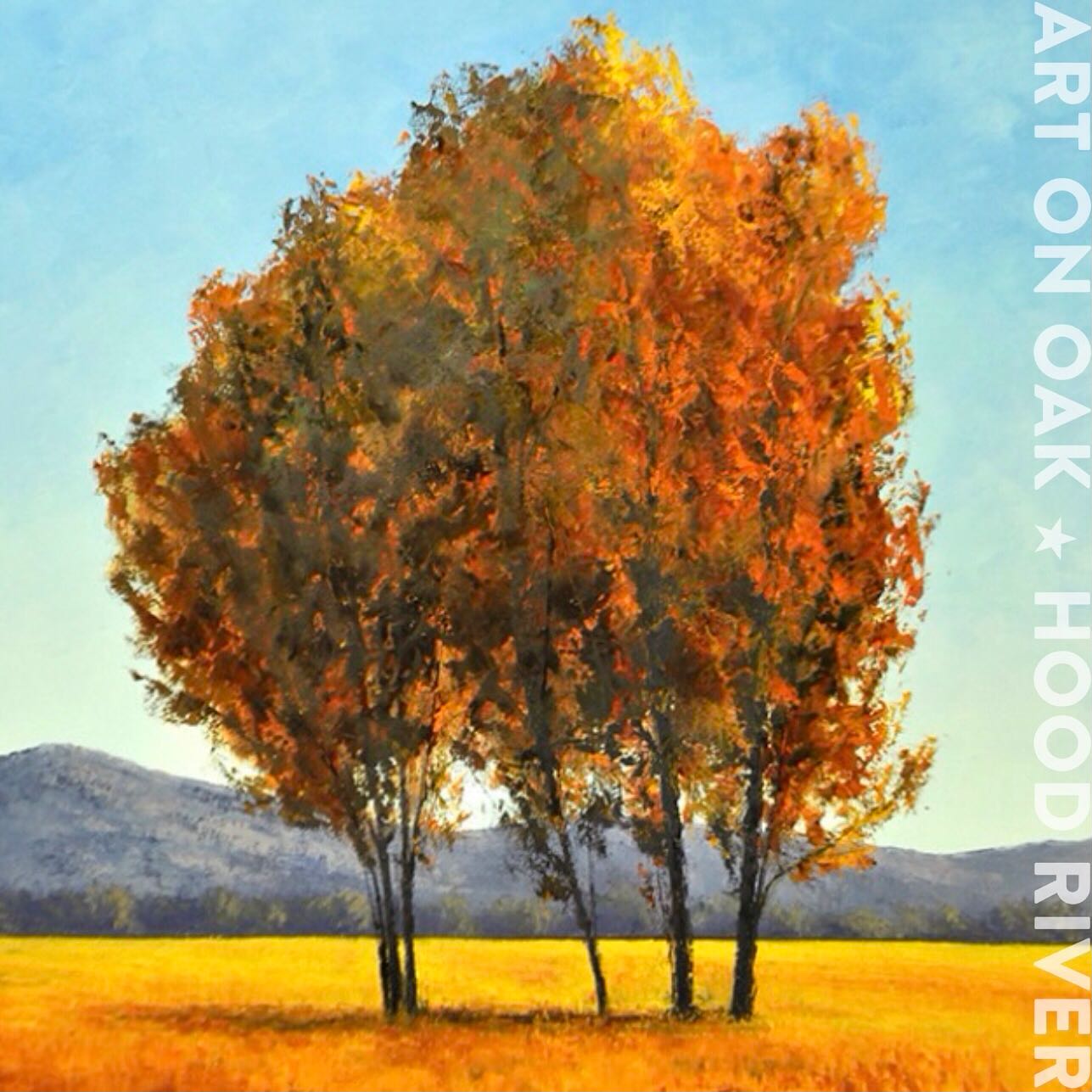 FEATURED ARTIST OF THE WEEK: Rachel Harvey @rachelharveyart. Rachel is a brilliant artist whose large evocative paintings bring us to places that we may never have seen but wish we could. Primarily self-taught, Rachel paints with the rich colors of nature at its best. She uses multiple layers of paint to create the depth and texture of her forms. Although she exhibits her paintings at prominent art fair and festivals throughout the country, we’re happy that Rachel’s home base is Art on Oak at 210 Oak St. in Hood River, OR. Come by between 10 and 5 any day of the week to see her work as well as that of thirty regional artists. “The friendliest gallery in the Gorge.” #fineart #oilpainting #landscape #landscapepaintings #art #artwork #artoninstagram #artlovers #artgallery #artcollector #artcurator #oregonartist #oregonart #hoodriver #hoodriveroregon #visithoodriver #artfairs #artfestivals