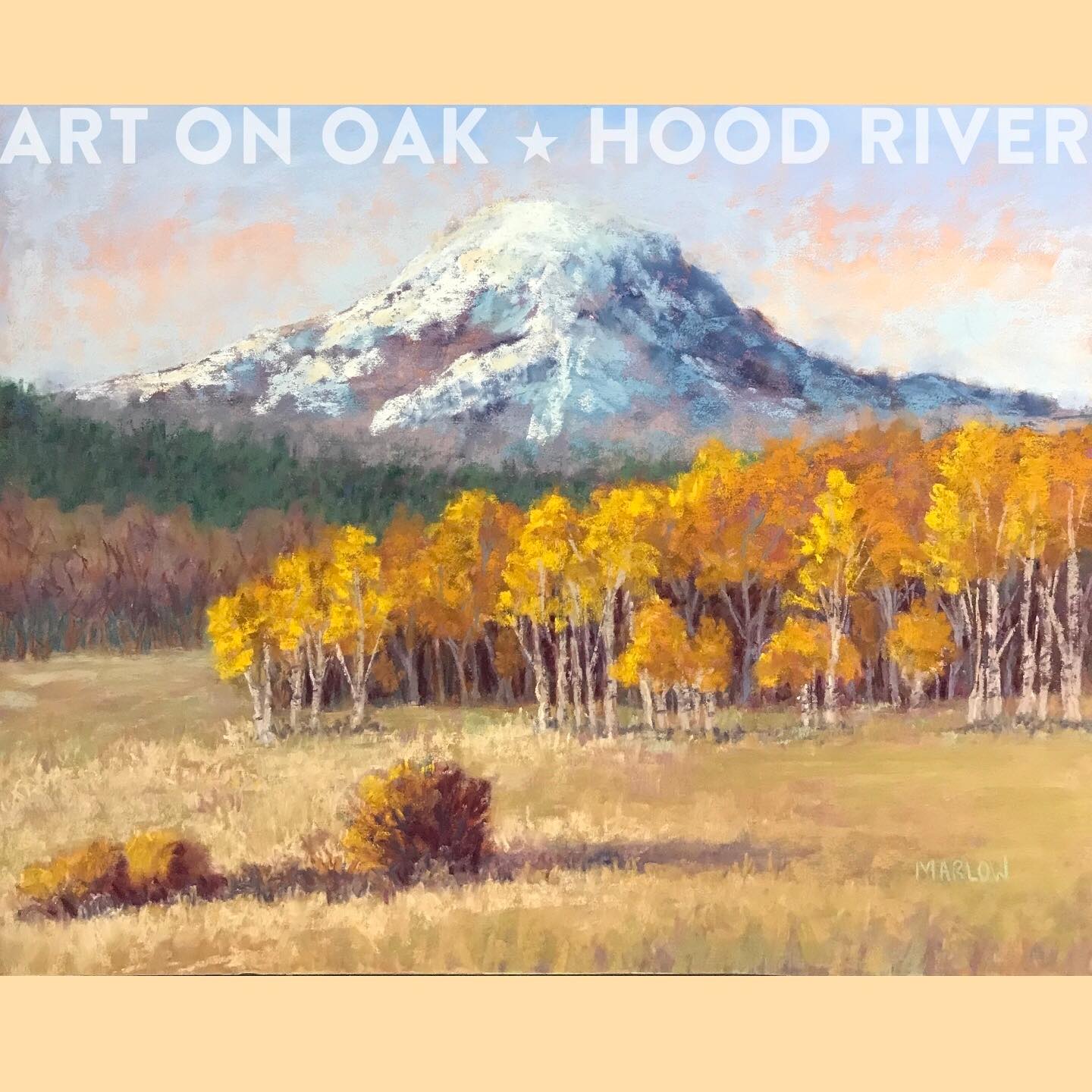 Autumn in the Gorge is always stunning. Even after all the rain this fall, the trees are still spectacular, with or without their leaves. Here are five Art On Oak artists who are inspired by autumn: Heather Marlow @heathermarlowart, Nancy Houfek Brown @nancyhoufekbrown, Barbara Murphy www.pinterest.com > barbara1643, Elizabeth See @elizabeth.see.5, and Rachel Harvey @rachelharveyart. Come see their paintings, and the work of other wonderful regional artists, at 210 Oak St., Hood River, OR, any day of the week from 10:00 a.m. - 5:00 p.m. “The friendliest gallery in the Gorge.” #autumn #autumncolors #fallcolors #trees #treetrunks #landscapepaintings #pastel #pastelart #pastelartist #oilpaintings #fineart #acrylicpainting #art #artwork #artlovers #artcurator #artgallery #artcollector #oregonart #oregonartists #hoodriver #hoodriveroregon #visithoodriver